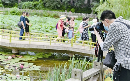 端午假期青島文明旅游氛圍濃 各景區文明引導 “文明之花”盛開