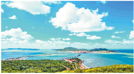 山東長島推進立體生態保護修復 吃上“生態飯” 