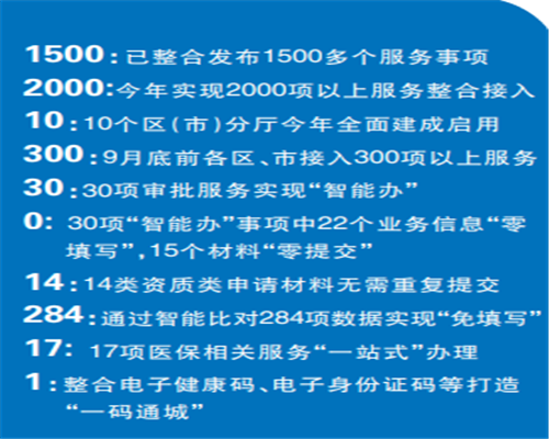 1500多個事項“掌上辦”！“青島政務通”APP2.0正式上線運行