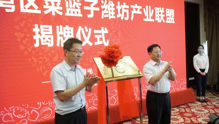 整合資源優勢！濰坊全力建設蔬菜標準化先行示范區