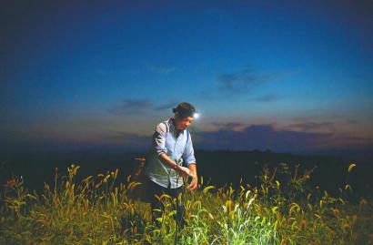 20200706090215929.jpg 11688888052720569872.jpg