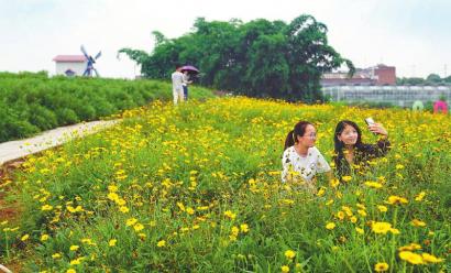 20200706090232929.jpg 14930510868404629621.jpg