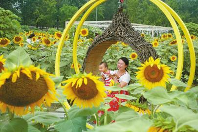 20200706090247929.jpg 4963836352585008729.jpg