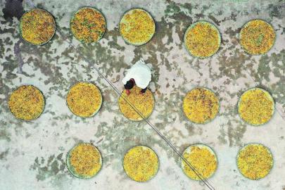 20200706090254929.jpg 6693455266518902171.jpg