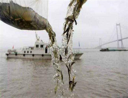 江蘇：用十年“無漁”換年年“有魚”