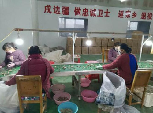 河南南召喬端鎮：搬遷搬出新氣象 后續幫扶拔窮根