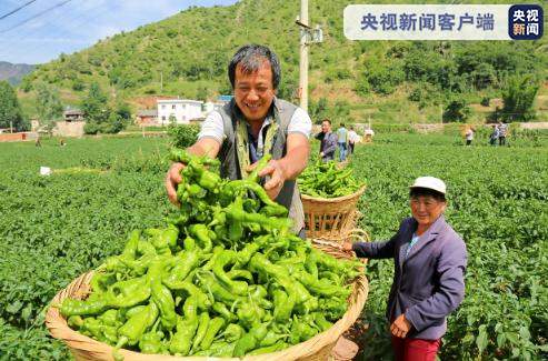 千方百計讓錢袋子鼓起來——云南持續推進農民增收調查
