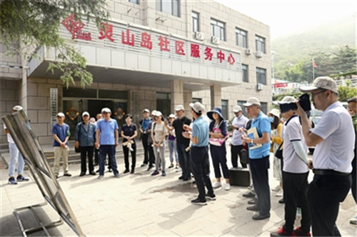 青島首個生態修復示范工程 靈山島項目（一期）綜合驗收通過