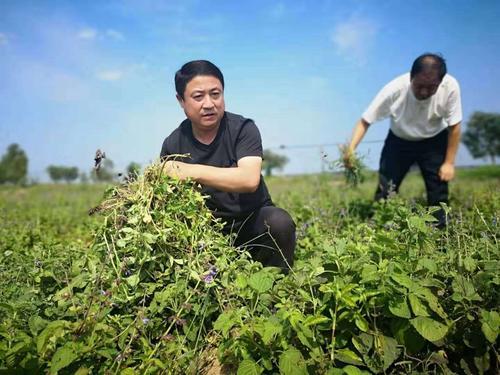 使命在肩 初心無悔——追記臨礦集團派駐沂水縣四十里堡鎮洪溝村第一書記劉建光同志