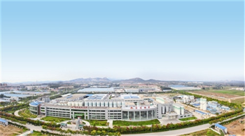 創新“打法”，平度萊西投資跑出“加速度” 