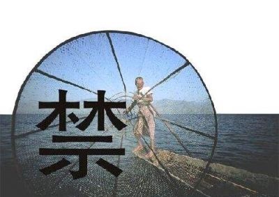 守護母親河重現生機——多部門回應長江禁捕熱點問題