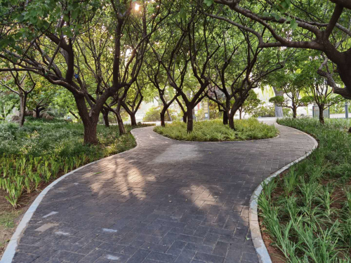 鋪設踏路石 補植綠植 五洲湖管理辦公室為創城添彩
