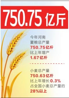 今年河南省夏糧產量再創新高