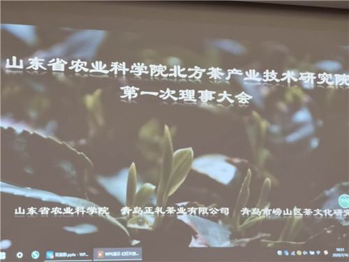山東省農業科學院北方茶產業技術研究院成功舉辦第一次理事會暨嶗山茶產業發展研討會