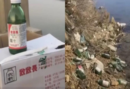 “敵敵畏”養海參 遭315曝光！