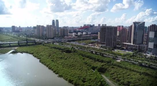 黑龍江自貿區哈爾濱片區掛牌9個月新增企業2875家 同比增長67.9%