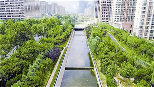 青島：大雨落地，“海綿”就地吸走八成多
