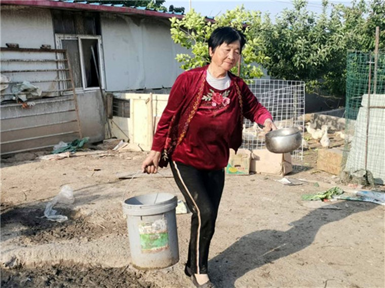 花甲老婦重披“戰衣”走上致富路