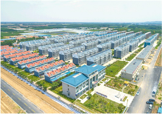 諸城市枳溝鎮北杏社區迎來新面貌 泥土地里有“致富經”