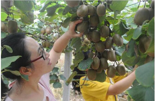 山東淄博淄川區太河鎮因戶施策 構建“引扶幫包”扶貧新機制