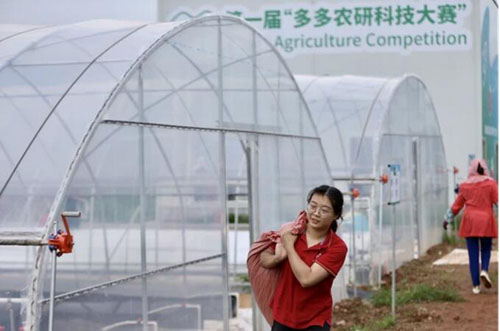 54位青年科學家、頂尖農人等齊聚中國云南，農業“人機”對戰正式開賽