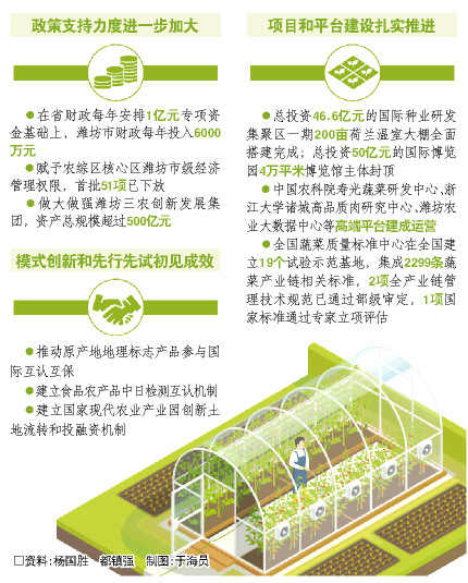 山東濰坊：大棚玩起高科技 農業闖出新天地 