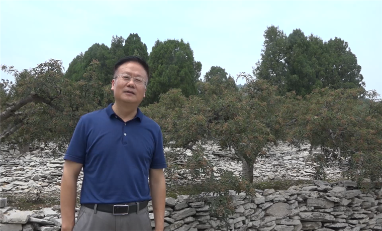村里來了服務隊 ——記棗莊市鄉村振興服務二隊
