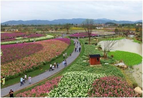 拓寬鄉村旅游發展視野 打造鄉村時尚生活