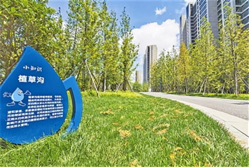 青島海綿城市建設：“國考”獲佳績