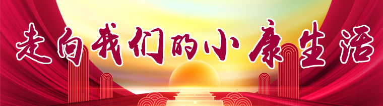 下足繡花功夫 決戰脫貧攻堅  臨沂市繡好醫保扶貧新畫卷