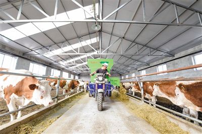 20200731101318361.jpg 4911467309488444731.jpg