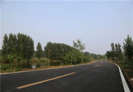 薛城區常莊街道——建設四好農村路 織密鄉村振興網
