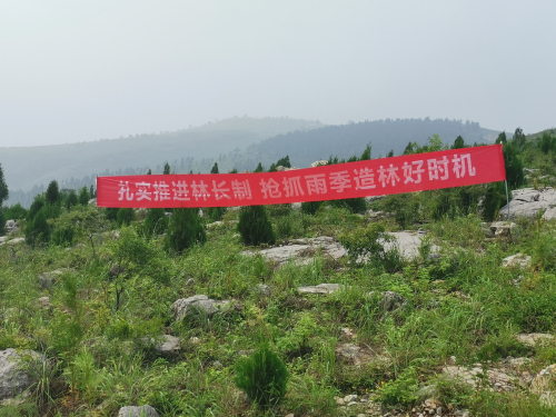臨沂市全面掀起雨季造林熱潮