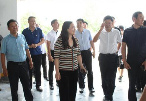 河南省扶貧辦一行到方城縣廣陽鎮調研黨建助脫貧工作