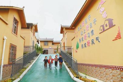 “脫貧娃娃菜”要直供粵港澳大灣區