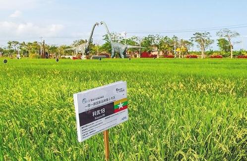 國家育種聯合攻關全面推開
