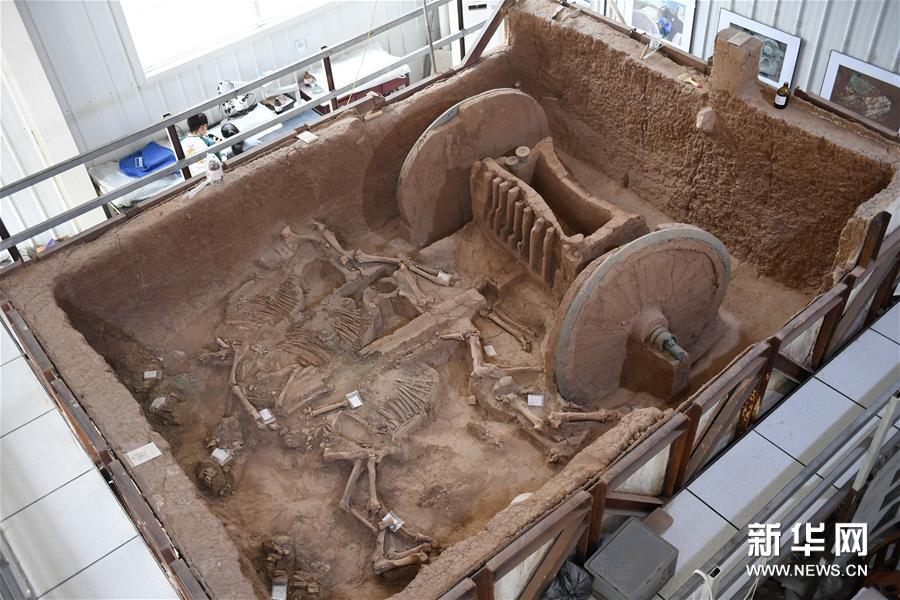 陜西保護復原2800年前西周青銅輪牙馬車