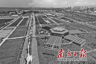 廣東鼓勵臺資農企向粵東西北布局