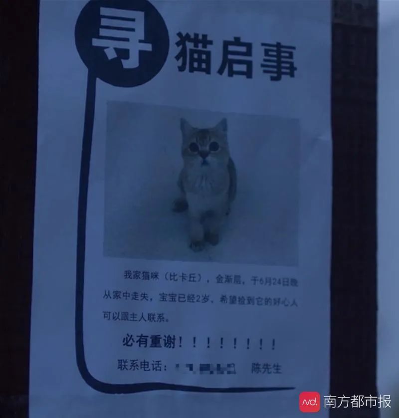 20200811090910929.jpg 967.jpg