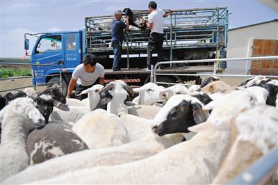 20200813101503147.jpg 9391847016071796990.jpg