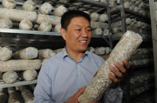 山東淄博淄川區打造智慧農業 小蘑菇逆勢增長銷世界