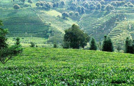農業農村部、國家鄉村振興局部署推進脫貧地區產業發展工作