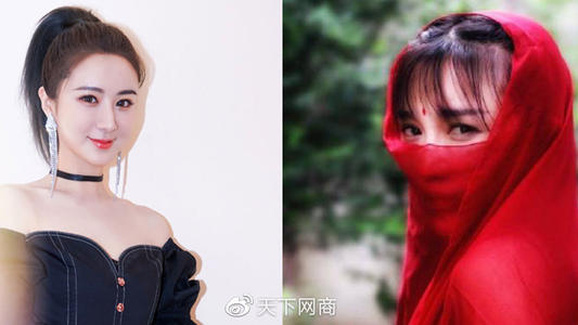 薇婭、李子柒當選全國青聯委員