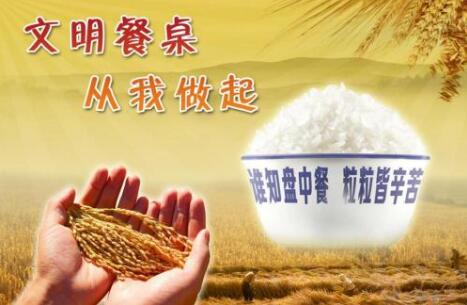 兩辦發文明確糧食節約和反食品浪費行動重點任務