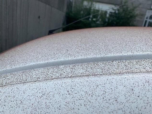 瑞士小鎮下起“巧克力雨”