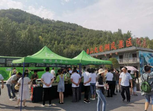 “鄉村振興，生態南召”采風活動啟動走進四棵樹鄉