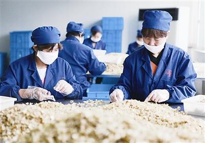 河南四部門聯合印發實施意見 從源頭提升中藥材質量