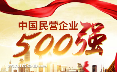 立足實體經濟 以創新應對挑戰——“2023中國民營企業500強”榜單透視
