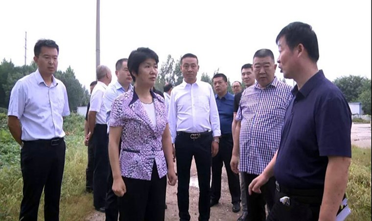 梁惠民調研洲業國際汽車城項目建設情況