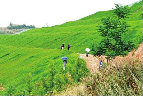 自然資源部：不得將工程建設等“包裝”為生態修復項目